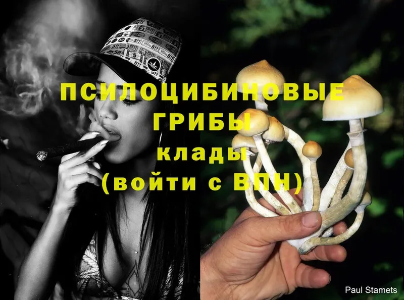 Псилоцибиновые грибы Psilocybine cubensis  где купить наркоту  Валуйки 